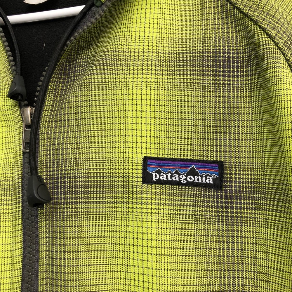 Patagonia weather resistant Hoodie with fleece
